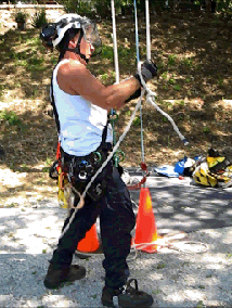 About Neck of the Woods Tree Service - Emerald Hills, Redwood City CA Arborist - Eddie-NOTW