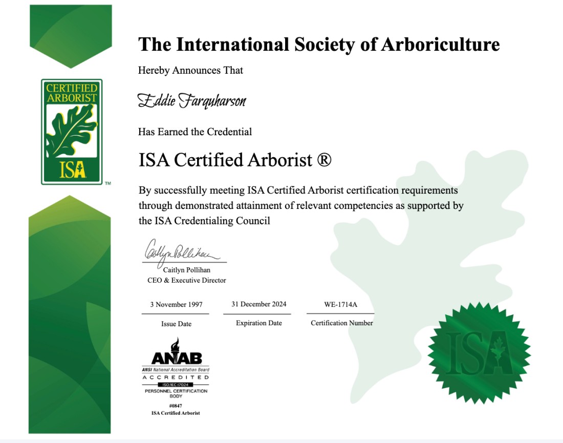 ISA Certified Arborist - Blog - Neck of the Woods Tree Service  - ISA_2024