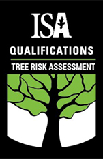 Is a Tree Risk Assessment Qualified